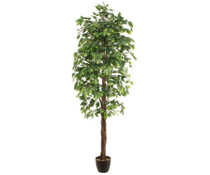 Mākslīgais augs FICUS 2.40m Mākslīgais augs FICUS 2.40m